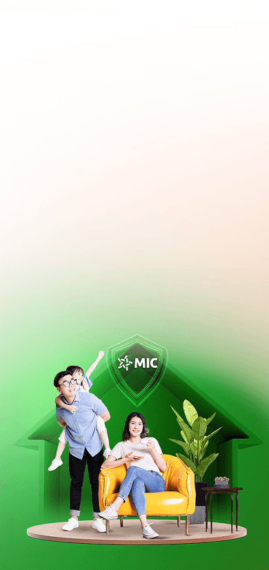Giới thiệu về MIC